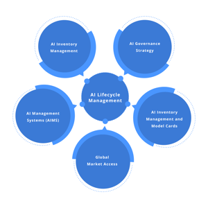 The AI Lifecycle